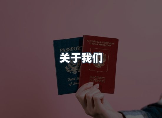 专业团队